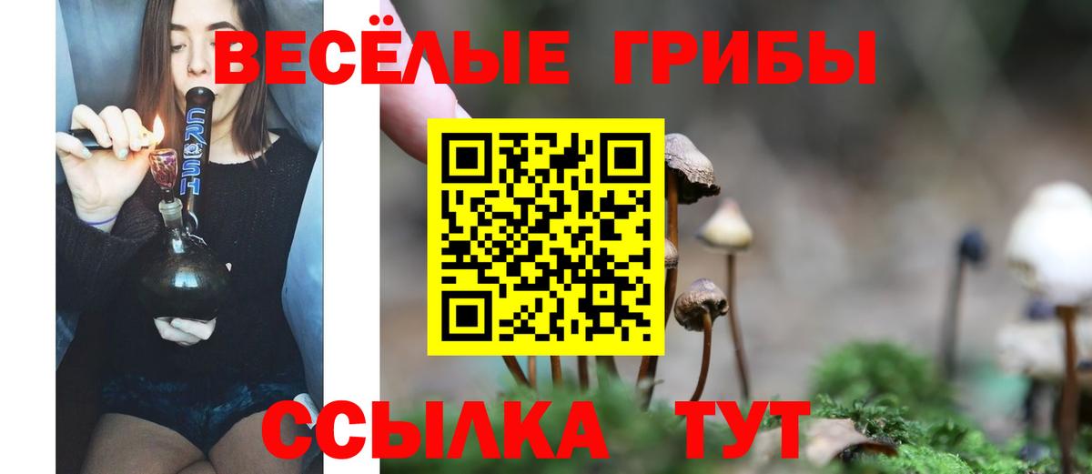 Галлюциногенные грибы MAGIC MUSHROOMS  Вход с VPN  Чапаевск  Псилоцибиновые грибы ЛСД 